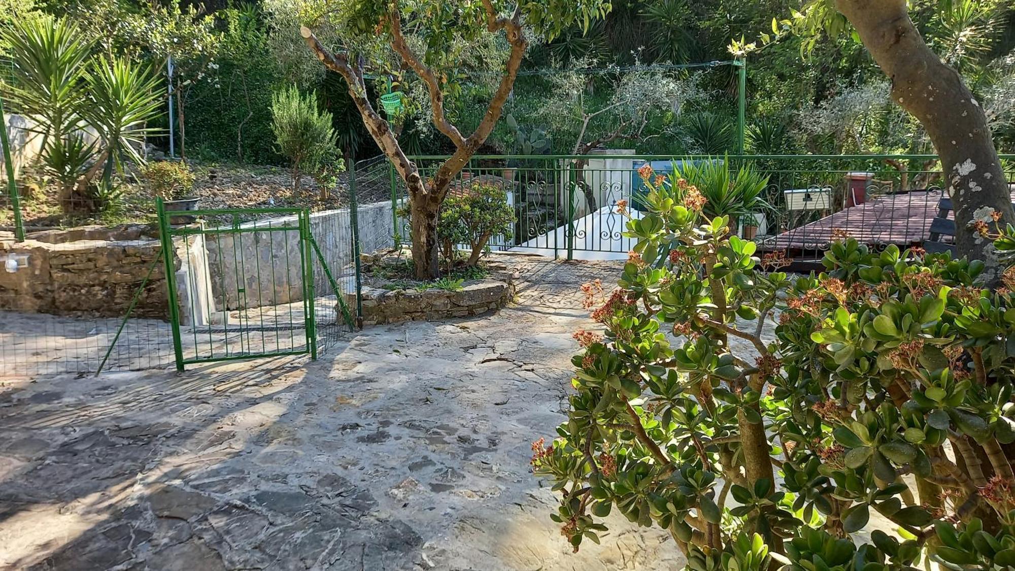 Casa Vacanze Alfano Ascea Habitación foto